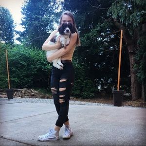 Meet your Posher, Lily